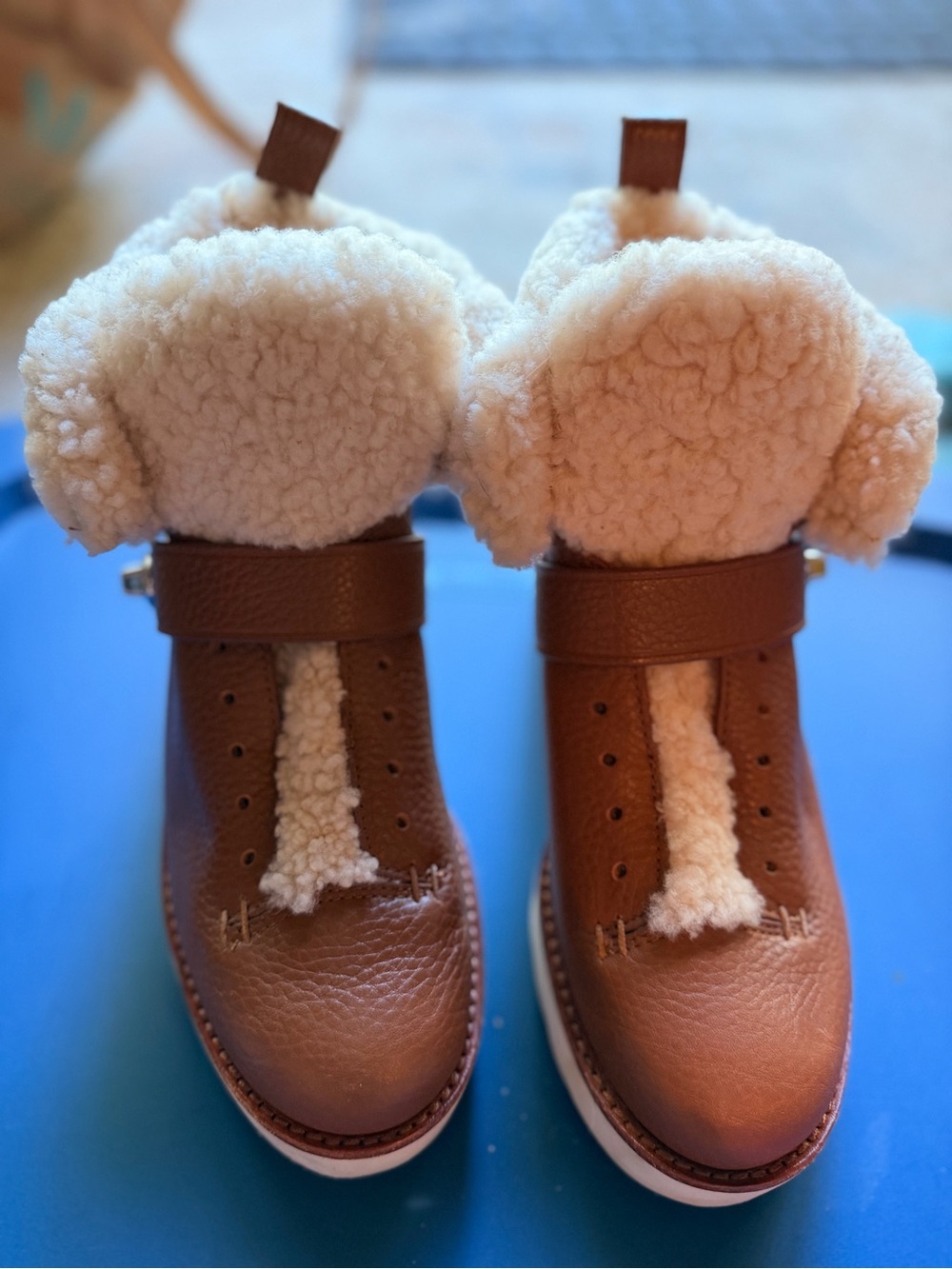 Coach Brown Leather Shearling-Lined Ankle Booties